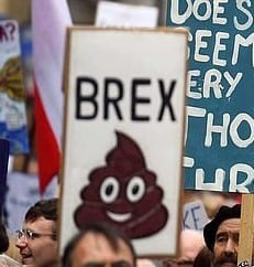 poo-brexit