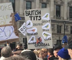 tits-brexit