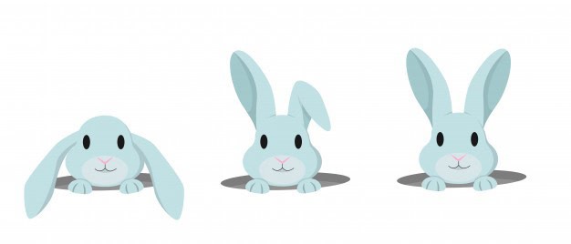 etymological rabbit holes
