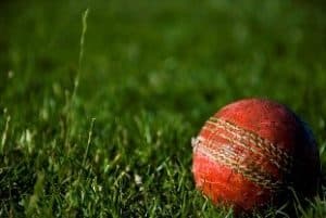 language of cricket