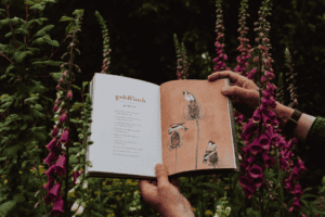 Lost Words Robert MacFarlane