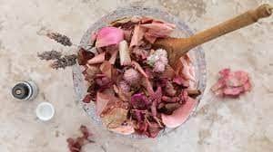 language and translation potpourri