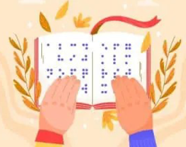 specialised Braille translators