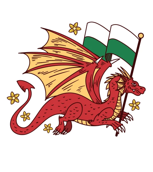 Welsh translation services