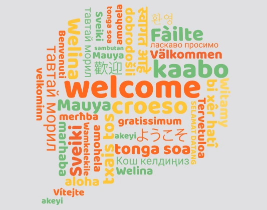 professional Welsh translators